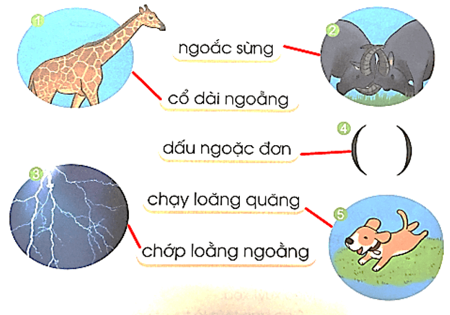oăng, oac – Bài 130 – Tiếng Việt lớp 1 (trang 64 → 65) - Cánh diều
