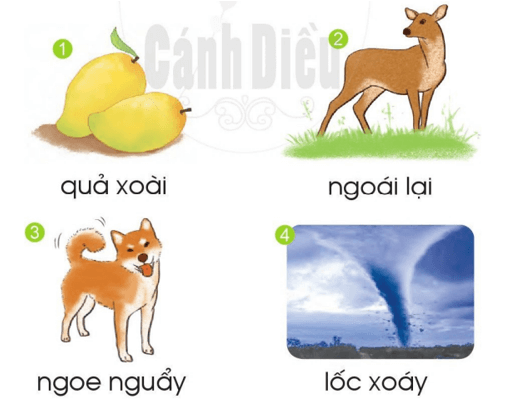 oai, oay, uây – Bài 136 – Tiếng Việt lớp 1 (trang 74 → 75) - Cánh diều