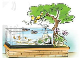 Ôn tập – Bài 15 – Tiếng Việt lớp 1 (trang 31) - Cánh diều