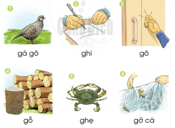 gh – Bài 16 – Tiếng Việt lớp 1 (trang 32 → 33) - Cánh diều