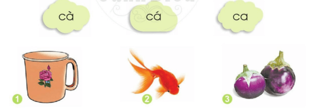 cà, cá – Bài 2 – Tiếng Việt lớp 1 (trang 8→ 9) - Cánh diều