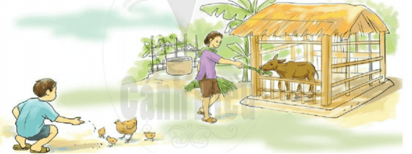 ng, ngh – Bài 22 – Tiếng Việt lớp 1 (trang 42 → 43) - Cánh diều