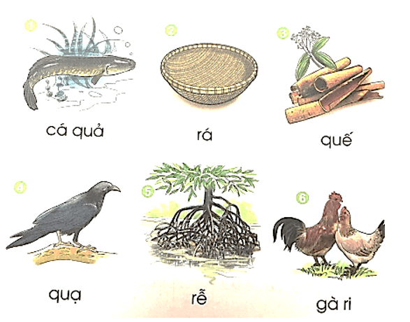 qu, r – Bài 24 – Tiếng Việt lớp 1 (trang 46 → 47) - Cánh diều