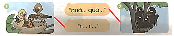 s, x – Bài 25 – Tiếng Việt lớp 1 (trang 48 → 49) - Cánh diều