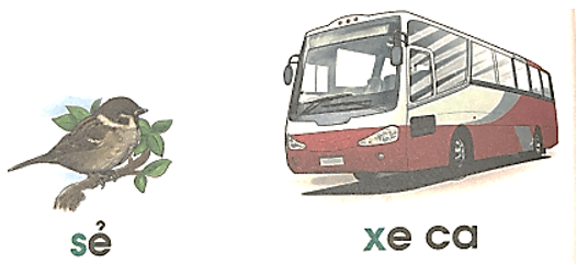 s, x – Bài 25 – Tiếng Việt lớp 1 (trang 48 → 49) - Cánh diều