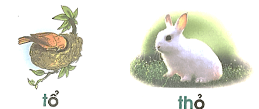 t, th – Bài 28 – Tiếng Việt lớp 1 (trang 52 → 53) - Cánh diều