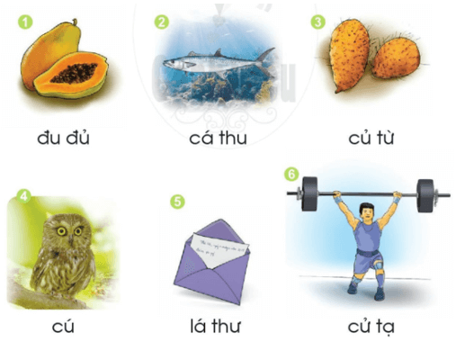 u, ư – Bài 30 – Tiếng Việt lớp 1 (trang 56→ 57) - Cánh diều