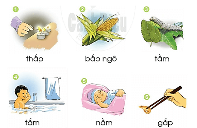ăm, ăp – Bài 37 – Tiếng Việt lớp 1 (trang 68 → 69) - Cánh diều