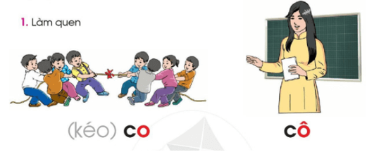 o, ô – Bài 4 – Tiếng Việt lớp 1 (trang 12 → 13) - Cánh diều
