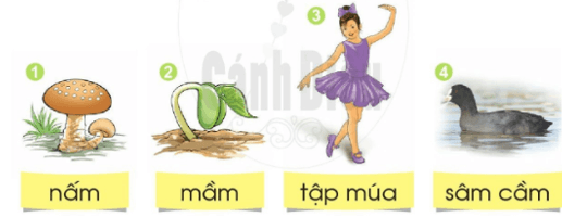 âm, âp – Bài 40 – Tiếng Việt lớp 1 (trang 72 → 73) - Cánh diều