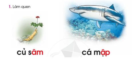 âm, âp – Bài 40 – Tiếng Việt lớp 1 (trang 72 → 73) - Cánh diều