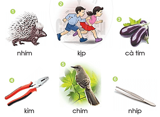 im, ip – Bài 43 – Tiếng Việt lớp 1 (trang 78 → 79) - Cánh diều
