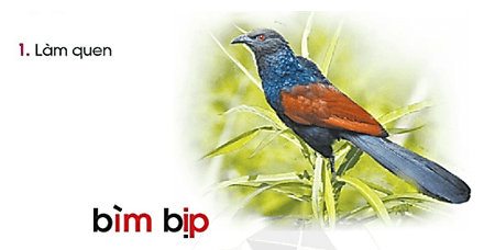 im, ip – Bài 43 – Tiếng Việt lớp 1 (trang 78 → 79) - Cánh diều
