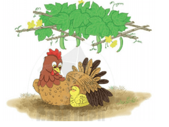 iêm, yêm, iếp – Bài 46 – Tiếng Việt lớp 1 (trang 82 → 83) - Cánh diều