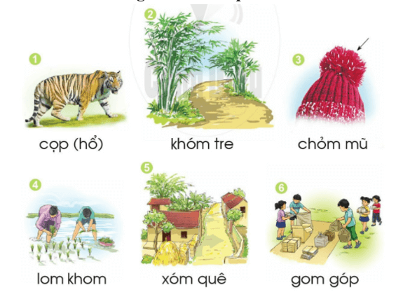 om, op – Bài 47 – Tiếng Việt lớp 1 (trang 84 → 85) - Cánh diều