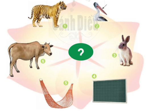 cỏ, cọ – Bài 5 – Tiếng Việt lớp 1 (trang 14 → 15) - Cánh diều
