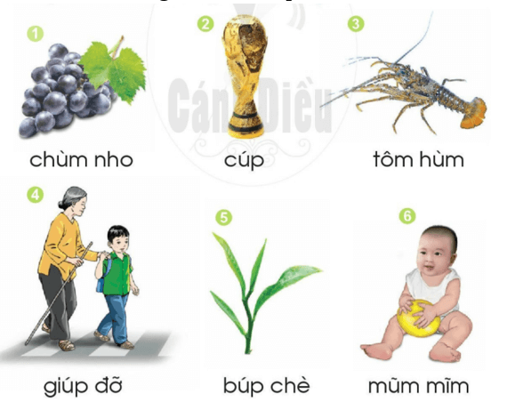 um, up – Bài 52 – Tiếng Việt lớp 1 (trang 96 → 97) - Cánh diều