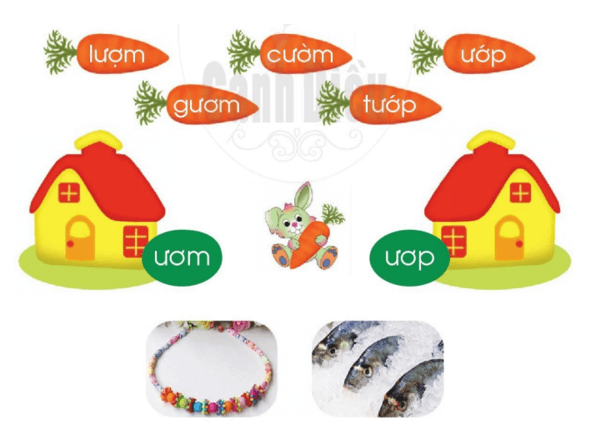 ươm, ươp – Bài 54 – Tiếng Việt lớp 1 (trang 100 → 101) - Cánh diều