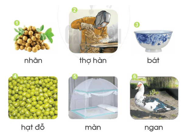an, at – Bài 55 – Tiếng Việt lớp 1 (trang 102 → 103) - Cánh diều
