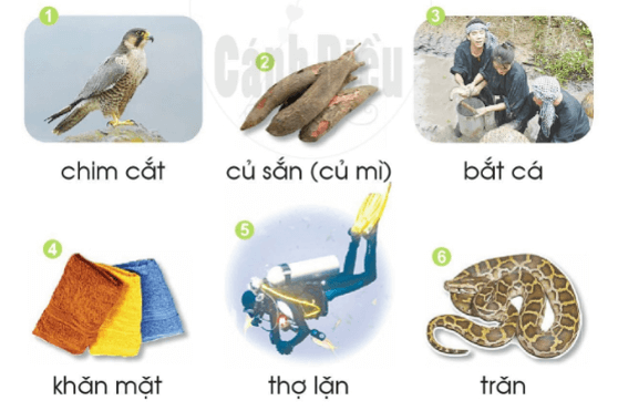 ăn, ăt – Bài 58 – Tiếng Việt lớp 1 (trang 106 → 107) - Cánh diều