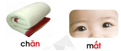 ăn, ăt – Bài 58 – Tiếng Việt lớp 1 (trang 106 → 107) - Cánh diều