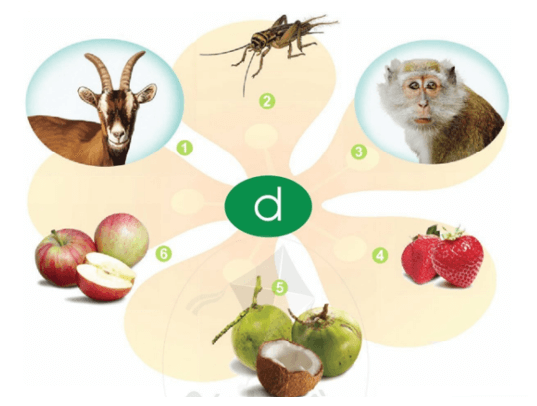 ơ, d – Bài 6 – Tiếng Việt lớp 1 (trang 16 → 17) - Cánh diều