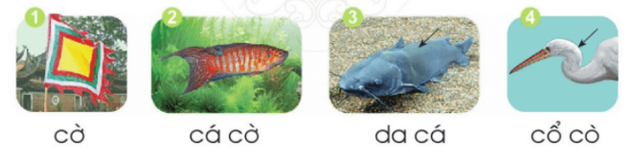 ơ, d – Bài 6 – Tiếng Việt lớp 1 (trang 16 → 17) - Cánh diều