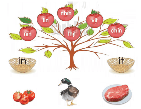 in, it – Bài 64 – Tiếng Việt lớp 1 (trang 116 → 117) - Cánh diều