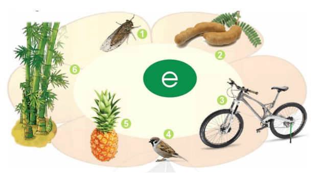 đ, e – Bài 7 – Tiếng Việt lớp 1 (trang 18 → 19) - Cánh diều