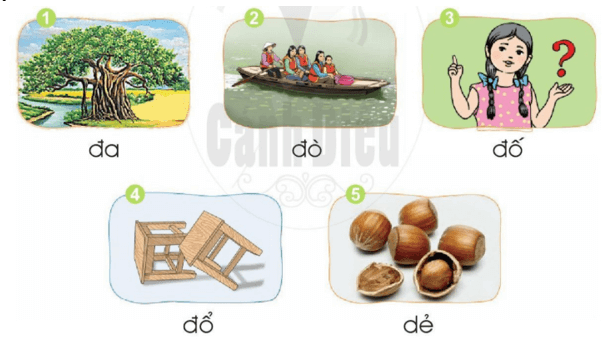 đ, e – Bài 7 – Tiếng Việt lớp 1 (trang 18 → 19) - Cánh diều