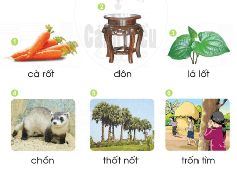 ôn, ôt – Bài 70 – Tiếng Việt lớp 1 (trang 126 → 127) - Cánh diều