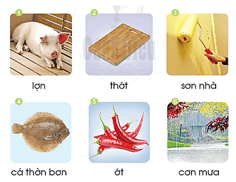 ơn, ơt – Bài 71 – Tiếng Việt lớp 1 (trang 128 → 129) - Cánh diều