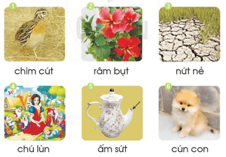 un, ut, ưt – Bài 72 – Tiếng Việt lớp 1 (trang 130 → 131) - Cánh diều