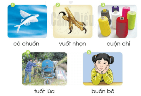 uôn, uôt – Bài 73 – Tiếng Việt lớp 1 (trang 132 → 133) - Cánh diều