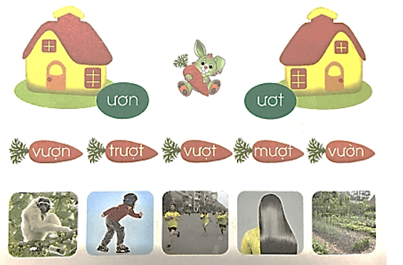 ươn, ươt – Bài 76 – Tiếng Việt lớp 1 (trang 136 → 137) - Cánh diều