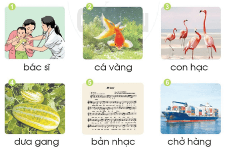 ang, ac – Bài 77 – Tiếng Việt lớp 1 (trang 138 → 139) - Cánh diều