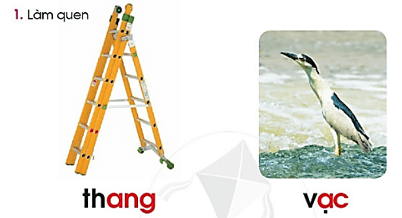 ang, ac – Bài 77 – Tiếng Việt lớp 1 (trang 138 → 139) - Cánh diều