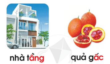 âng, âc – Bài 79 – Tiếng Việt lớp 1 (trang 142 → 143) - Cánh diều