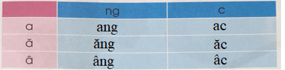 Ôn tập – Bài 81 – Tiếng Việt lớp 1 (trang 145) - Cánh diều