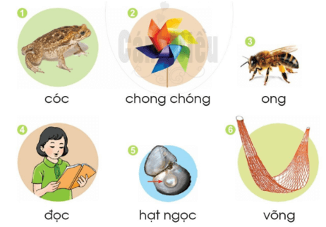ong, oc – Bài 84 – Tiếng Việt lớp 1 (trang 150 → 151) - Cánh diều