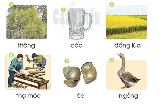 ông, ốc – Bài 85 – Tiếng Việt lớp 1 (trang 152 → 153) - Cánh diều