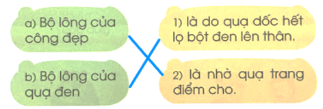 ông, ốc – Bài 85 – Tiếng Việt lớp 1 (trang 152 → 153) - Cánh diều
