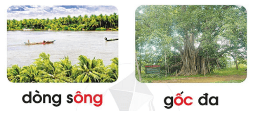 ông, ốc – Bài 85 – Tiếng Việt lớp 1 (trang 152 → 153) - Cánh diều