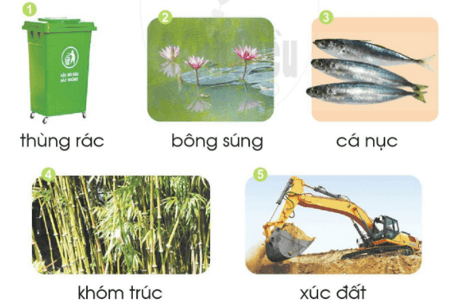 ung, uc – Bài 88 – Tiếng Việt lớp 1 (trang 156 → 157) - Cánh diều