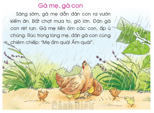 ung, uc – Bài 88 – Tiếng Việt lớp 1 (trang 156 → 157) - Cánh diều