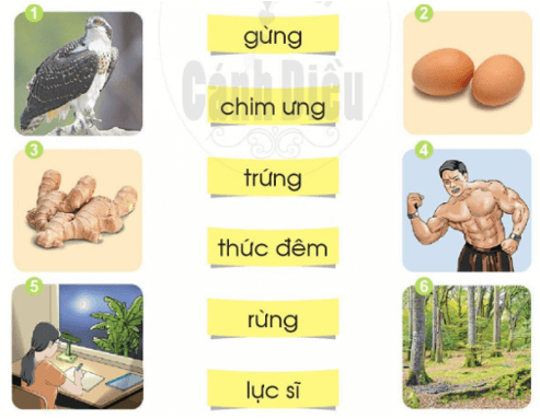 ưng, ưc – Bài 89 – Tiếng Việt lớp 1 (trang 158 → 159) - Cánh diều