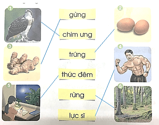 ưng, ưc – Bài 89 – Tiếng Việt lớp 1 (trang 158 → 159) - Cánh diều