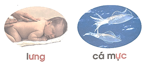 ưng, ưc – Bài 89 – Tiếng Việt lớp 1 (trang 158 → 159) - Cánh diều