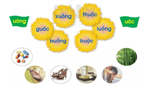 uông, uôc – Bài 90 – Tiếng Việt lớp 1 (trang 160 → 161) - Cánh diều