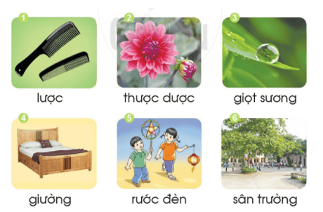 ương, ươc – Bài 91 – Tiếng Việt lớp 1 (trang 162 → 163) - Cánh diều